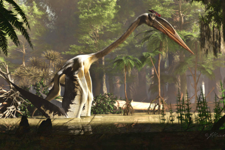 Así era el Quetzalcoatlus, el animal volador más grande de la historia