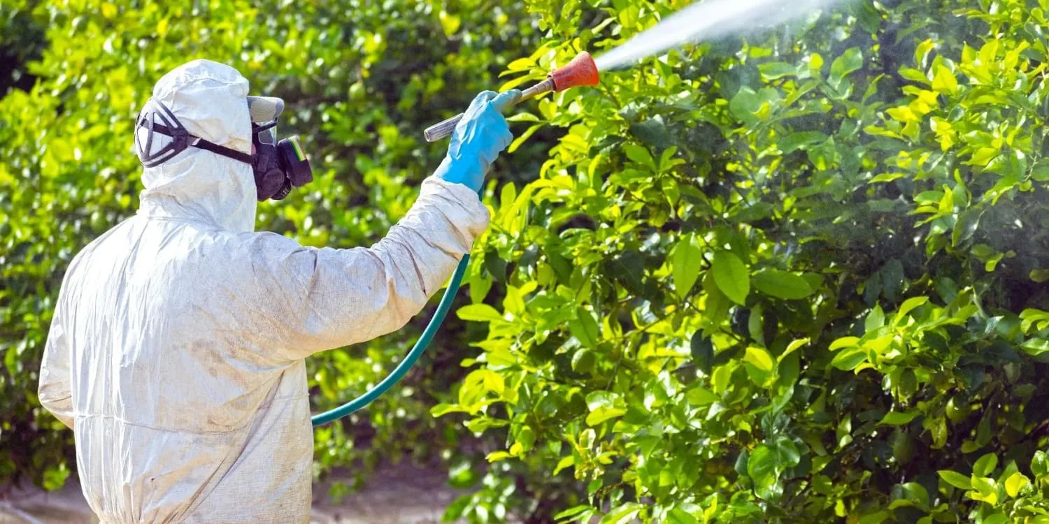 Brazil doubles herbicide use in 11 years: glyphosate resistance and risks to agricultural sustainability